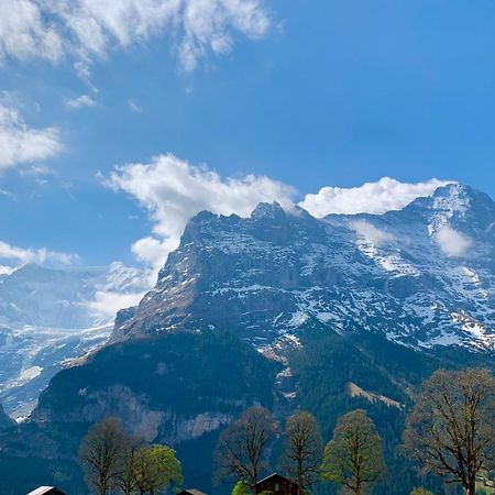 Eiger, Jungfrau, Luxury Garden Apartment Grindelwald Ngoại thất bức ảnh