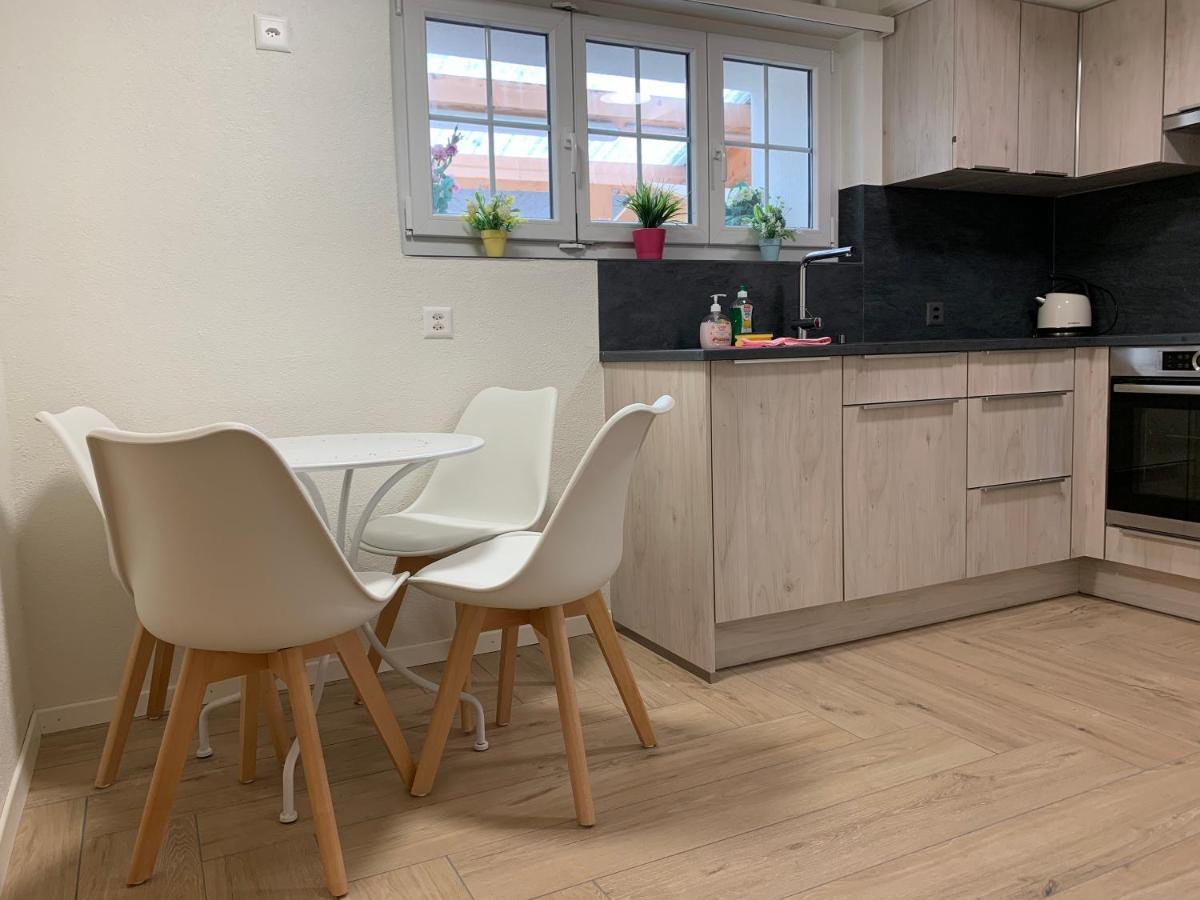 Eiger, Jungfrau, Luxury Garden Apartment Grindelwald Ngoại thất bức ảnh