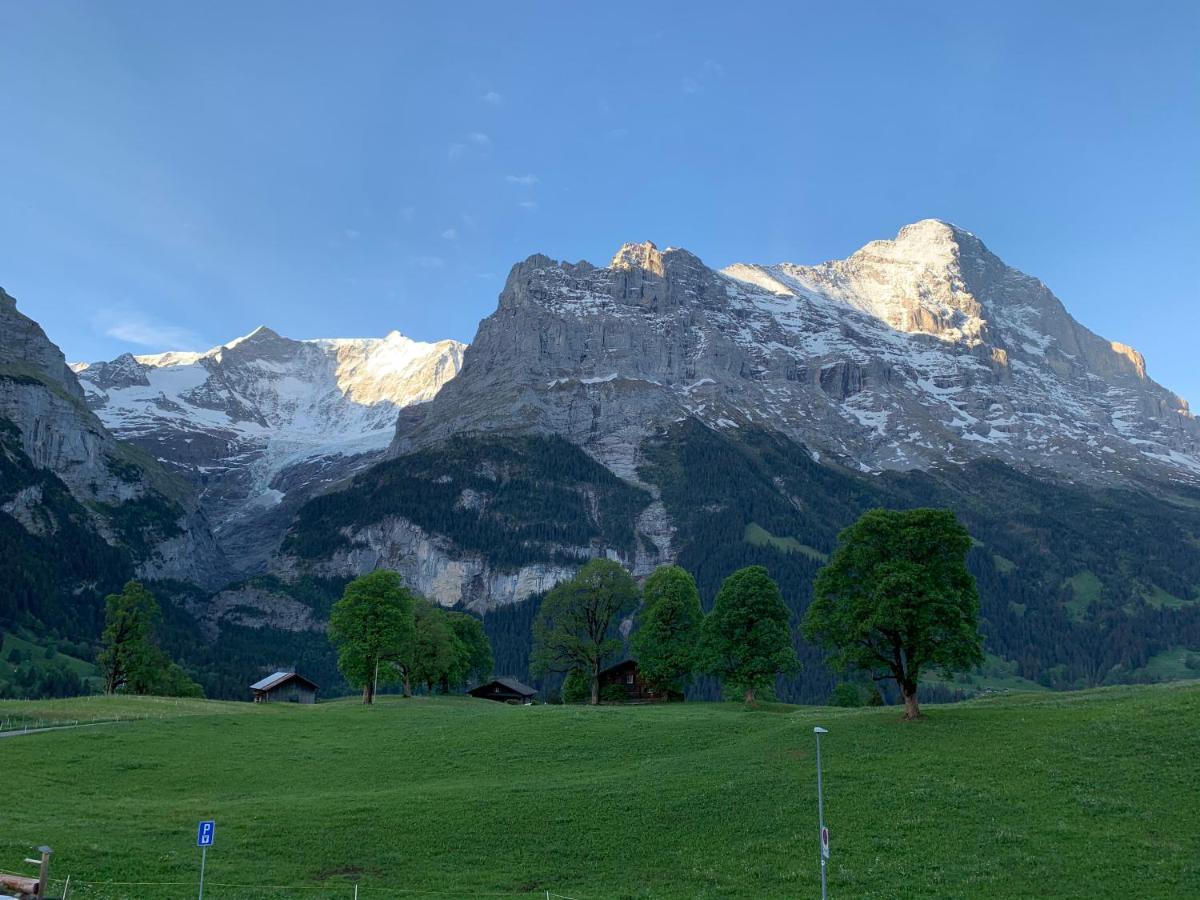 Eiger, Jungfrau, Luxury Garden Apartment Grindelwald Ngoại thất bức ảnh