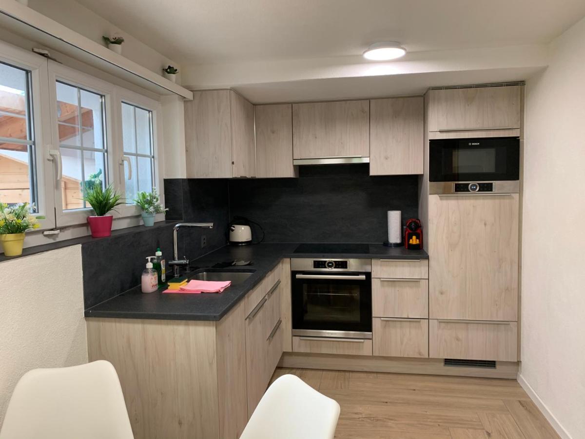 Eiger, Jungfrau, Luxury Garden Apartment Grindelwald Ngoại thất bức ảnh